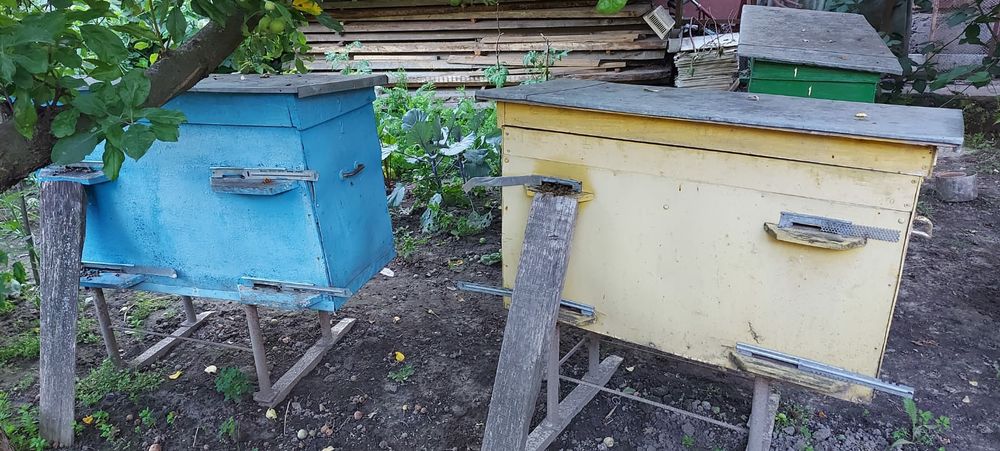 Улий для пчёл. Пчел НЕТ.