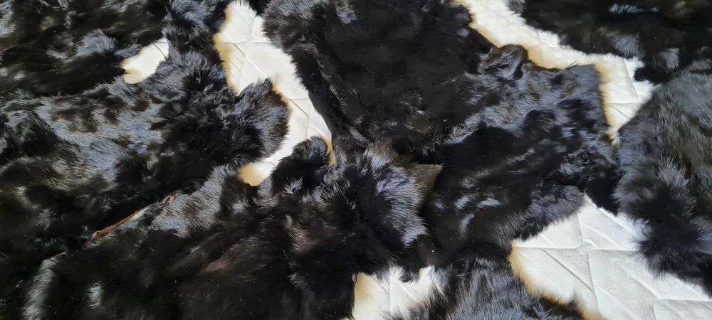 Skóry z królika 19 szt