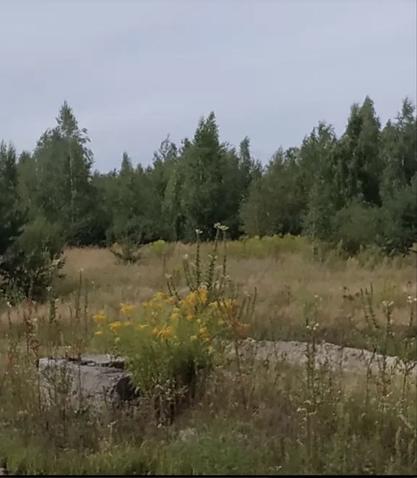 Продам земельну ділянку 10 соток під Житомиром