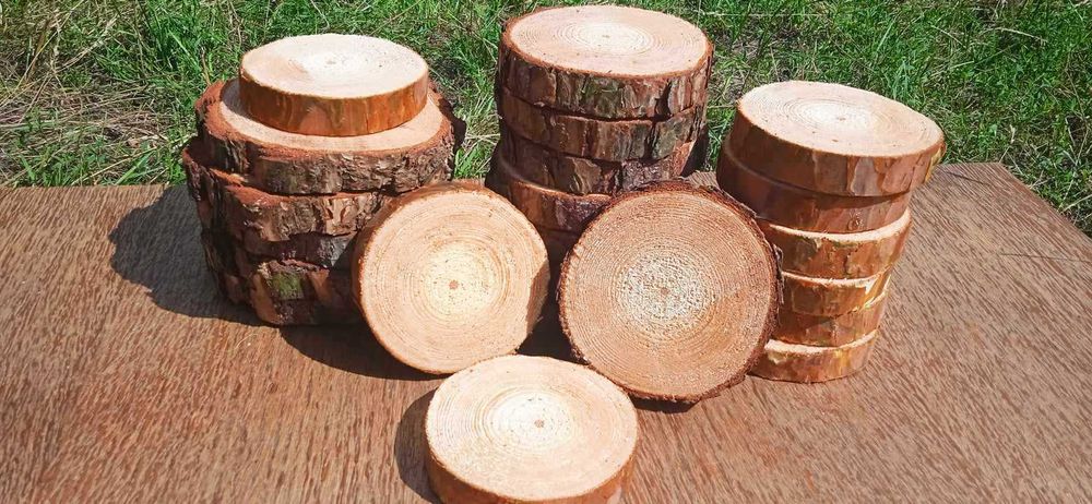 Plastry drewna, 30 sztuk, 10-15cm, krążki drewniane, podstawki na stroiki weselne, wysyłka