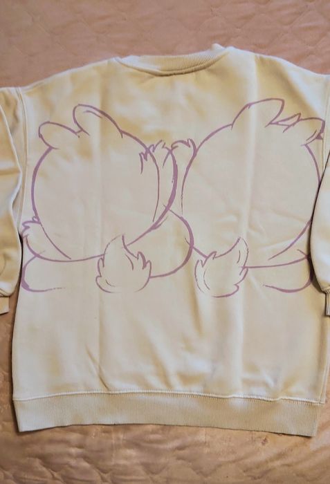 Zara sweater Disney estampada com esquilos
