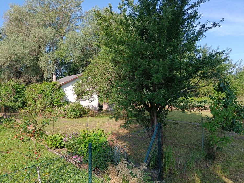 Odstąpię działkę ROD Wojnów Ubocze - 350 m² - Widok 4