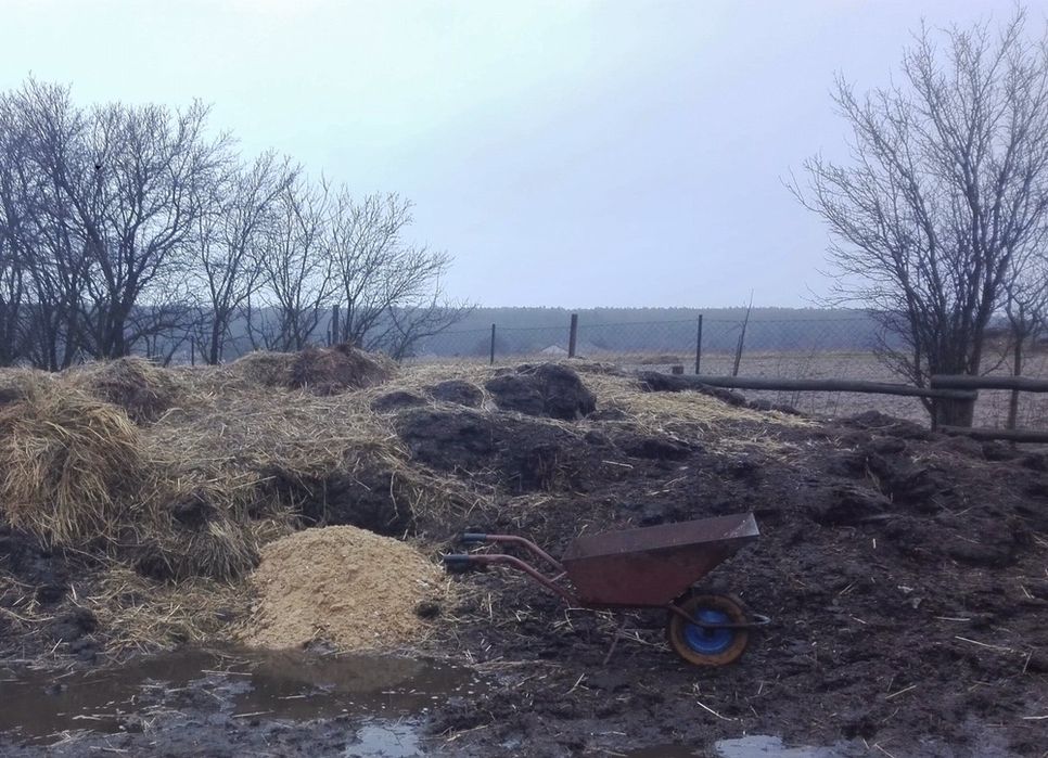 Obornik koński, naturalny nawóz, przekompostowany, idealny pod warzywa