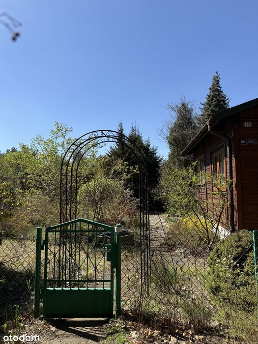 Działka rekreacyjna z mediami blisko lasu - Widok 2