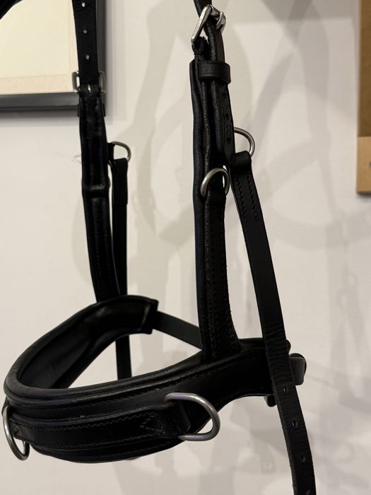 Kawecan skôrzany cob