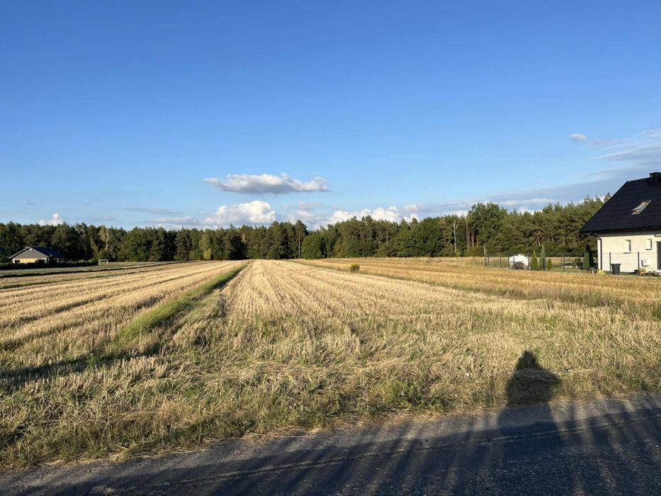 Sprzedam działkę budowlaną w Stanowie gmina Bodzanów