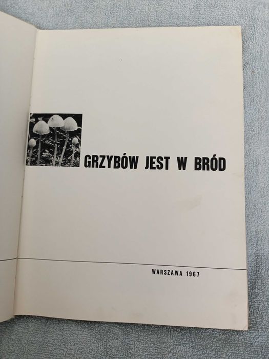 Grzybów jest w bród - Wilczek