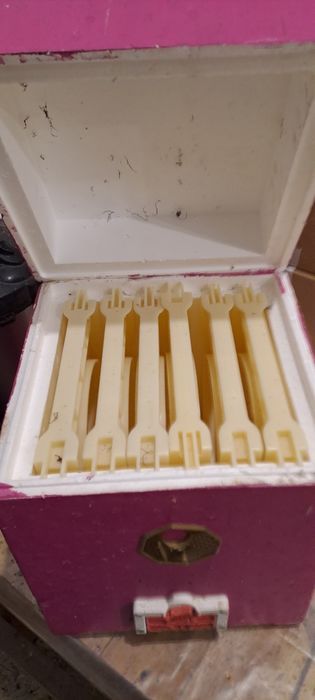 Нуклеуси ППС вулик