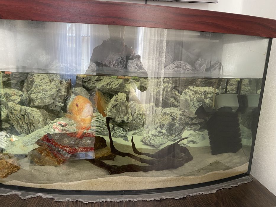 Акваріум 100л з рибками