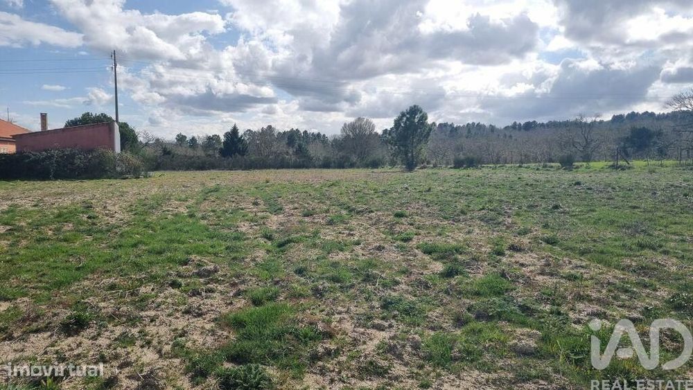Terreno para construção em Pêra do Moço