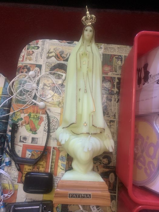 Nossa senhora de fatima luninosa