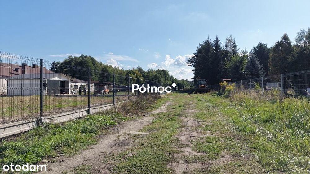 Zdjęcie 3