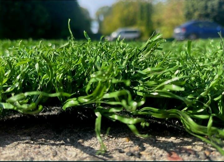 Sztuczna Trawa Pilkarska