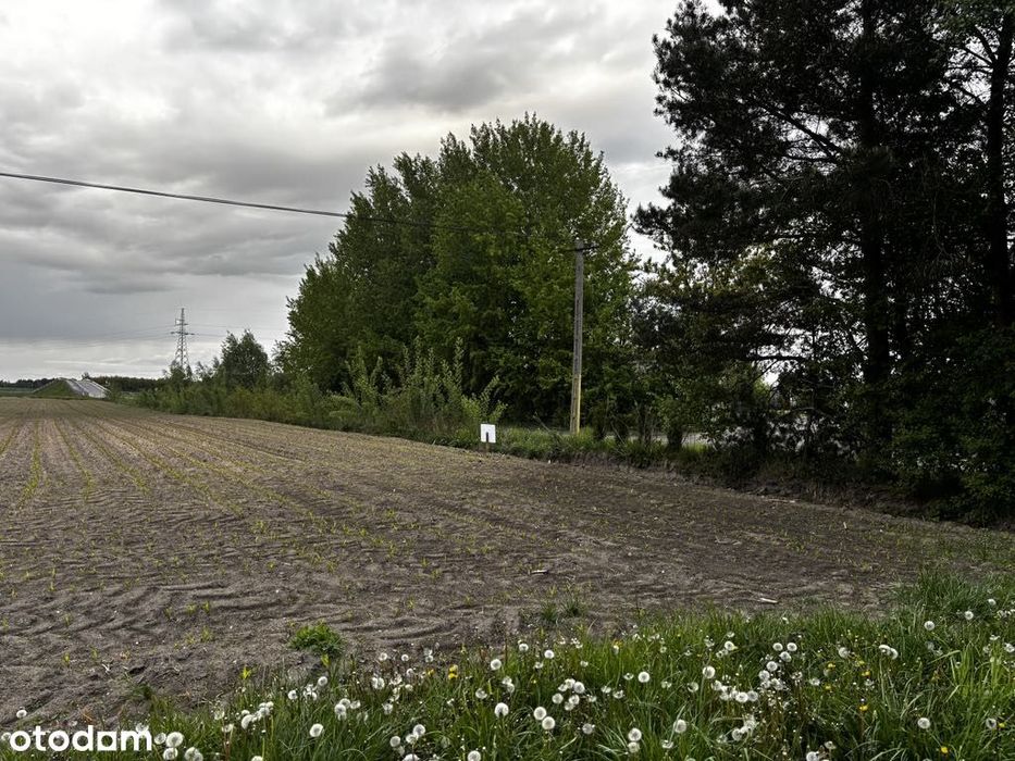 Działka do przekształcenia przy S61, w połowie strefa wielofunkcyjna