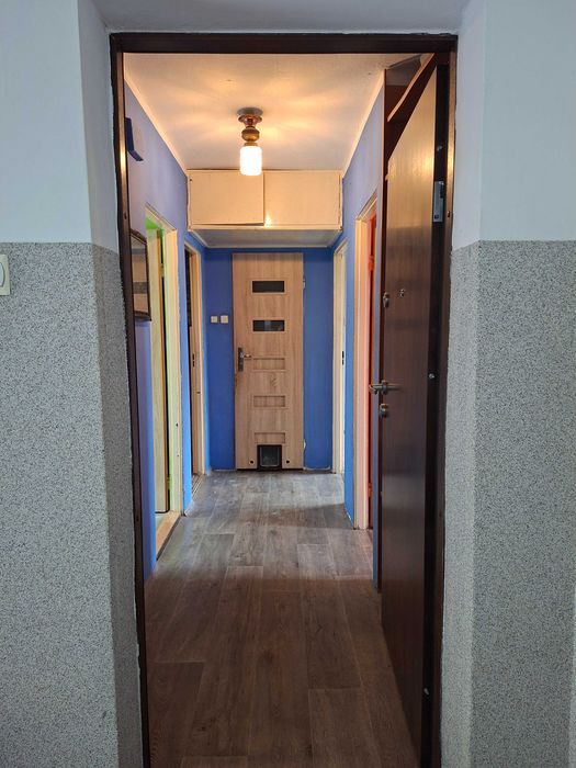 Mieszkanie na sprzedaż, 3 pokoje, 48 m², Brzeg Dolny