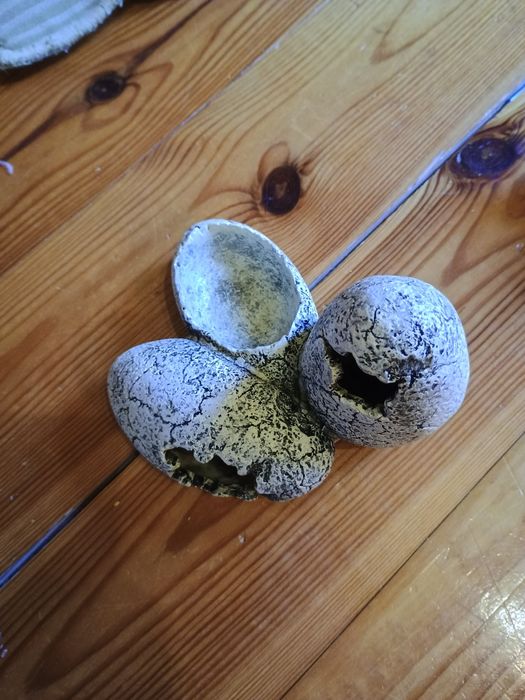 Akcesoria do akwarium