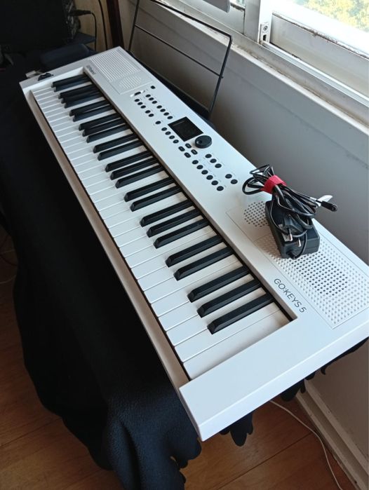 Roland Go keys 5 estado impecavel