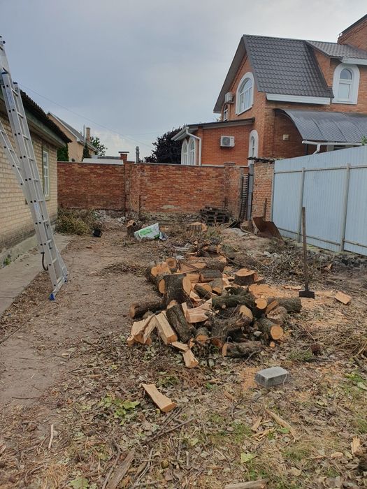 Професійна зрізка дерев та благоустрій ділянок корчування,вивіз.