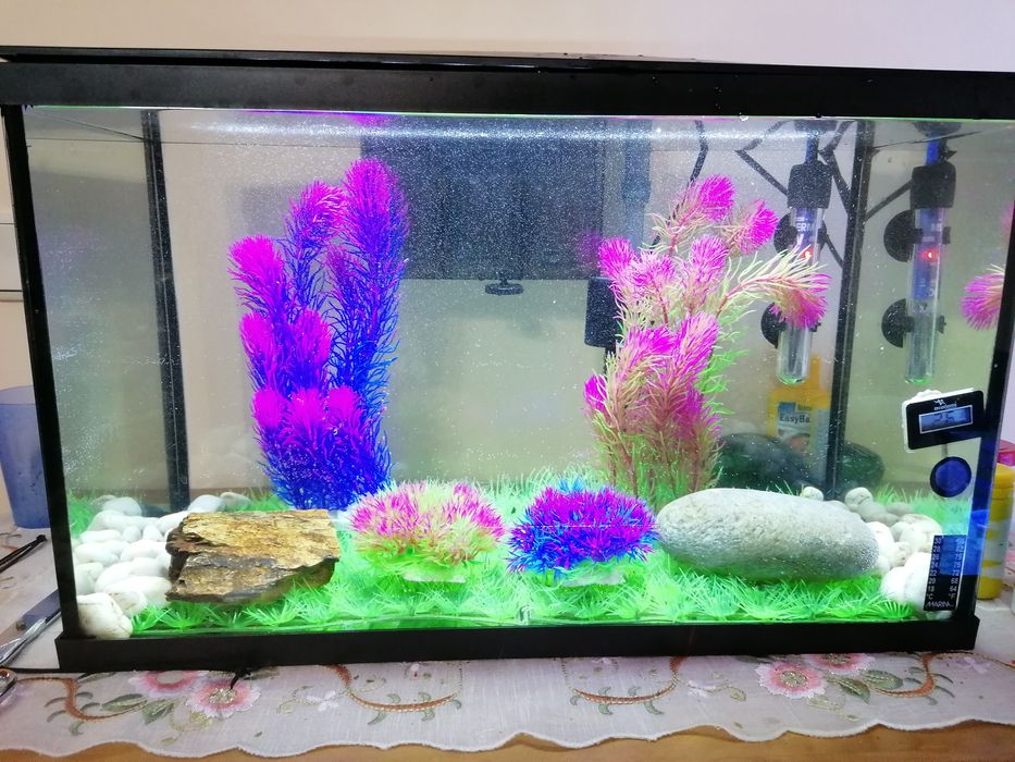 Plantas artificiais para aquário