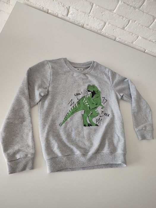 Bluza szara z dinozaurem. Szary sweter dla chłopca.