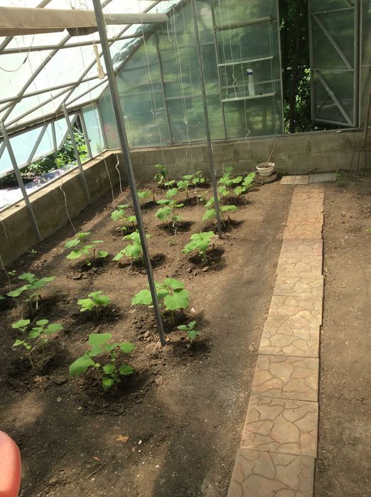 Продам реальный дом на пр.О.Поля (к-т Игрушек)