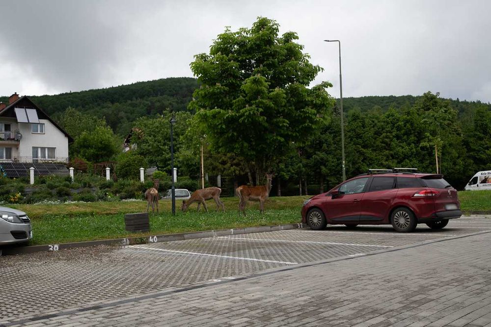 Apartament Rustykalny Ustrzyki Dolne