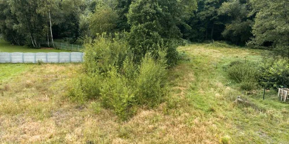 Działka budowlana przy scianie lasu. - Widok 3
