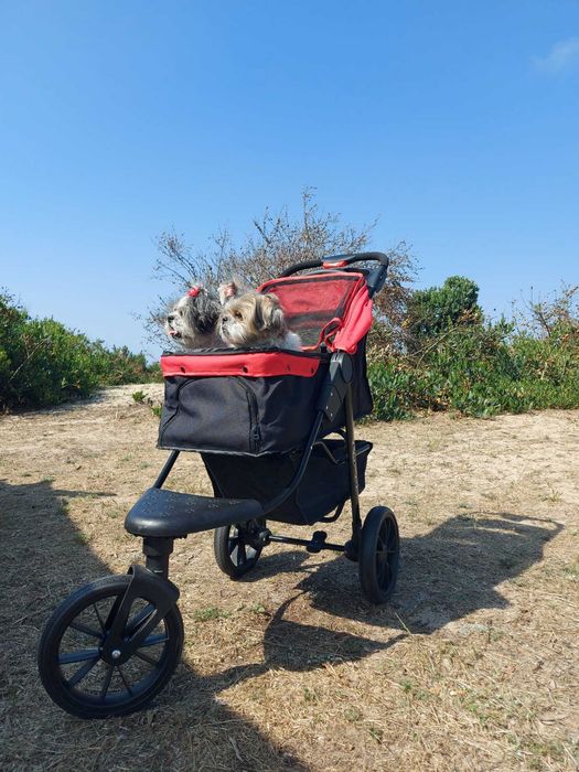 Carrinho para cães