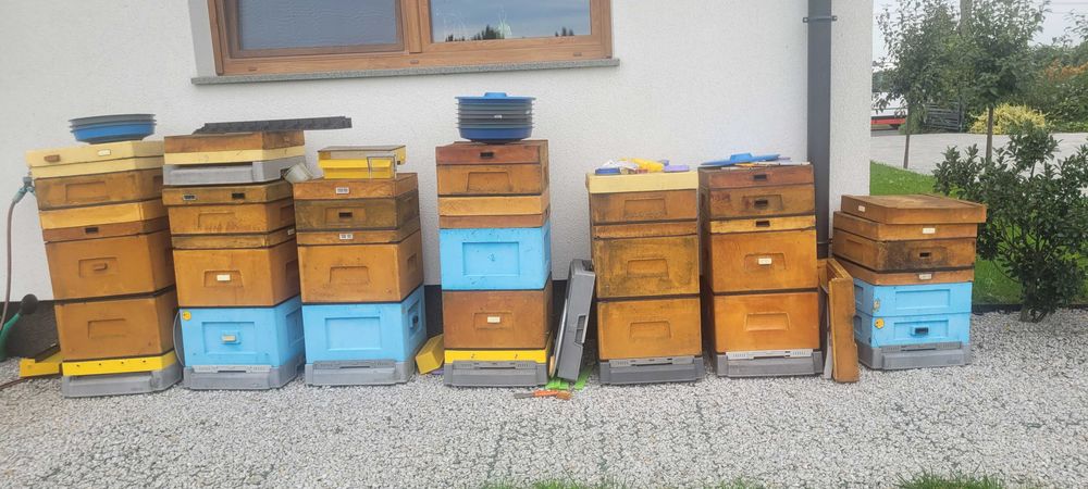 Komplet uli z ramkami i innym wyposażeniem