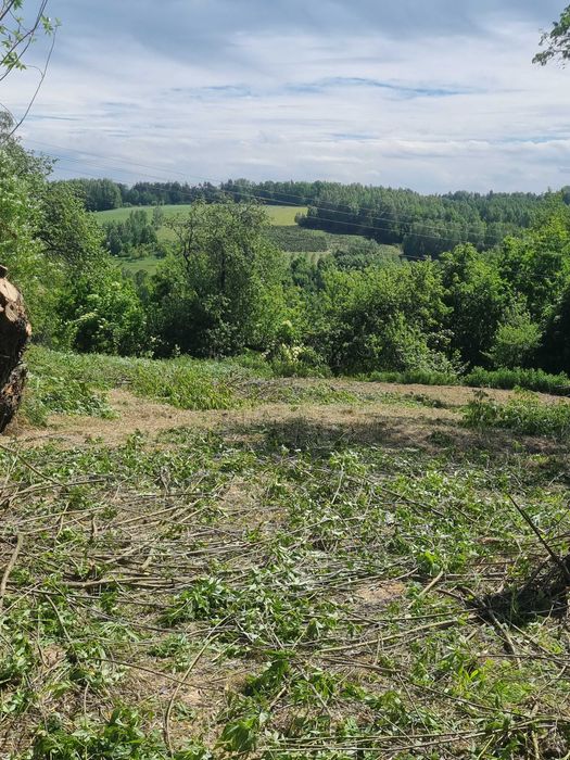 Roztocze Zachodnie Działka Komodzianka Góry - Widok 5