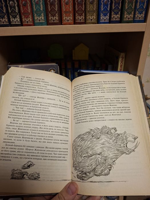 Книги Воздушные пираты Пол Стюарт,  Крис Риддел