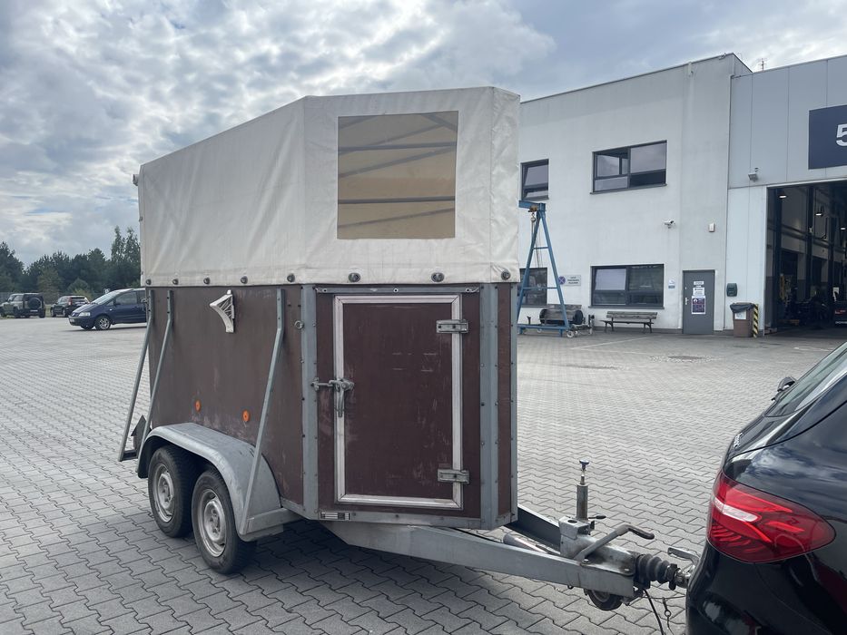 Przyczepa jednokonna  WYNAJEM konna