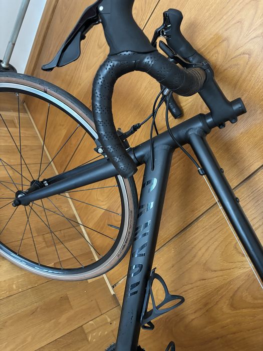 Canyon endurance 7