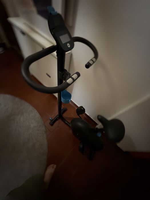 Bicicleta ergometrica