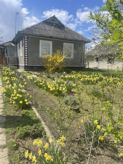 Будинок для спокійного життя  за містом.