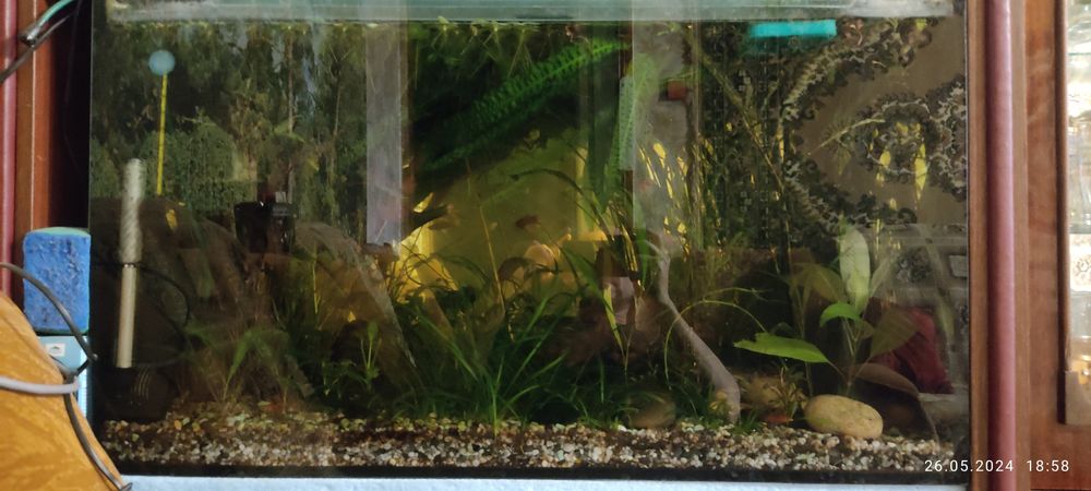 Акваріум 35*80*45 = 120 літер