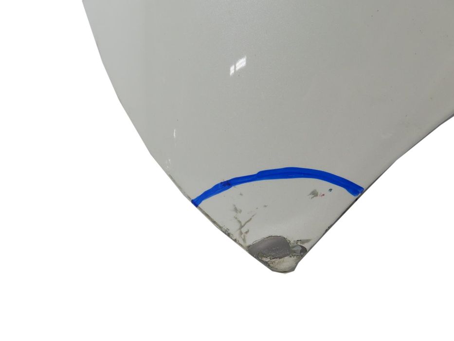 Capot Usado / Original Toyota C-Hr (_X1_) 53301F4010