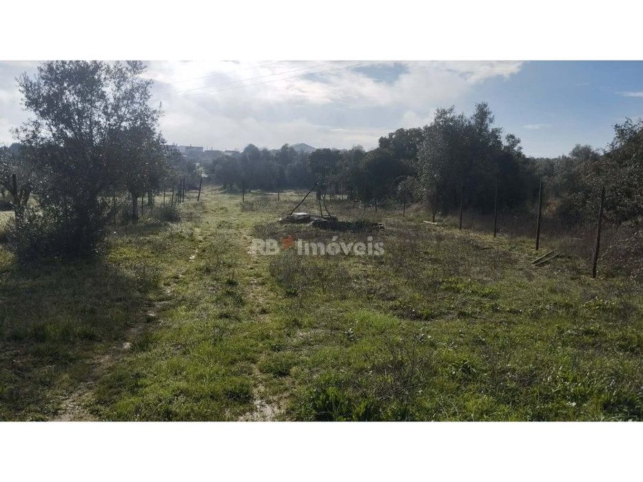 Terreno misto com 3080 m2, em Delongo