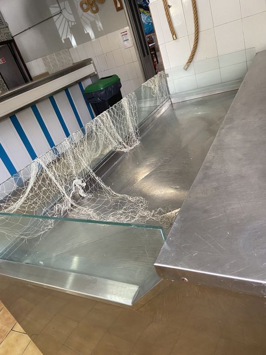 Vitrine expositora peixe