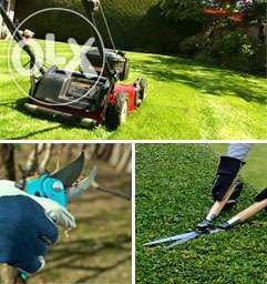 Usługi Ogrodnicze Zakładanie ogrodów Trawniki