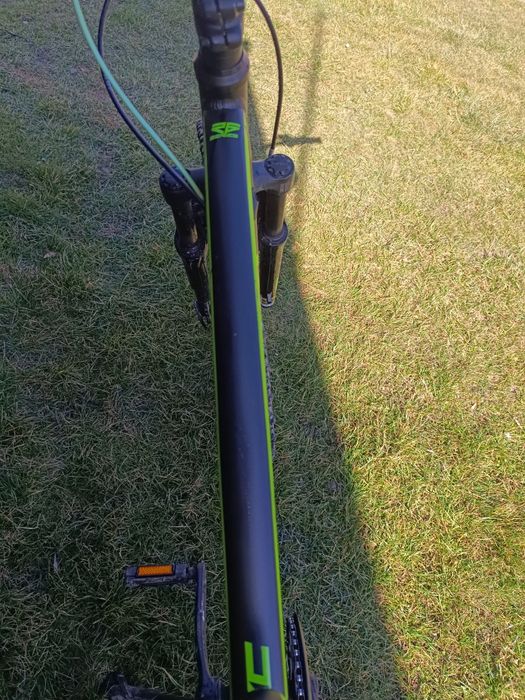 Rower leader fox