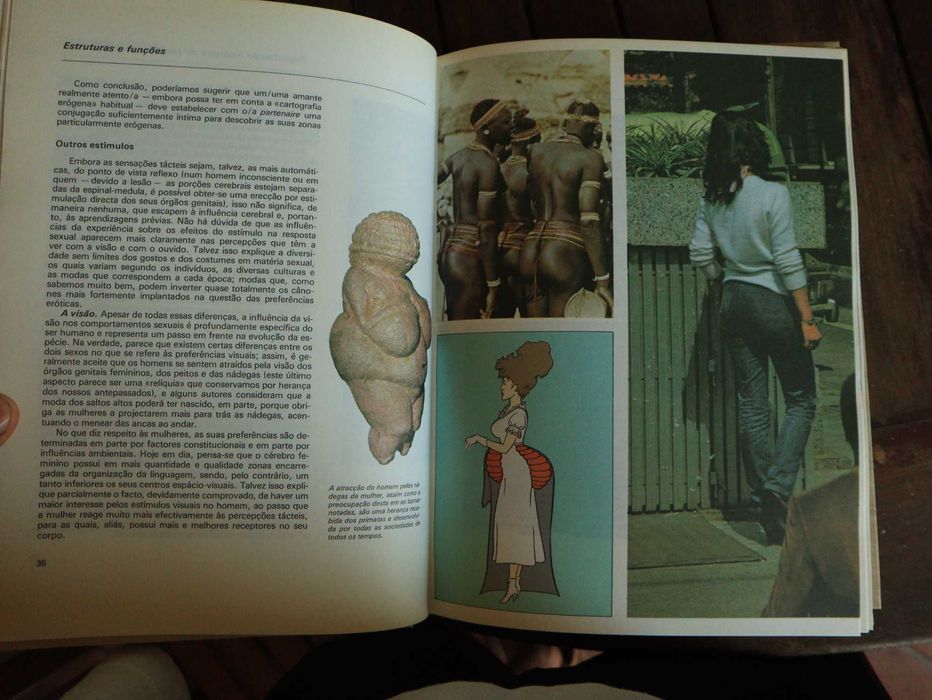 Livro do Casal, Coleção