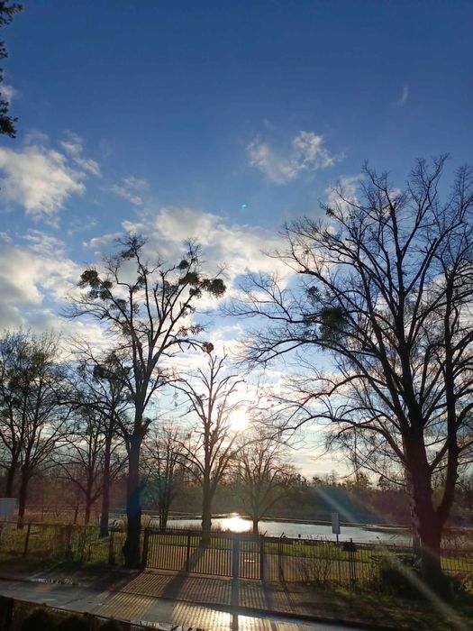 Hostel, pokoje goscinne - Willa Zacisze Wrocław