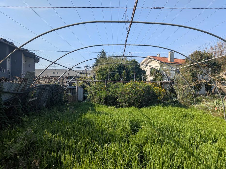 Estufa em arco e aço galvanizado