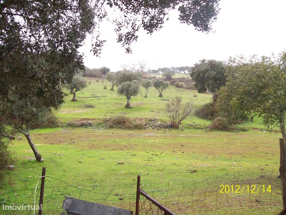 Herdade do Monte da Pedra.