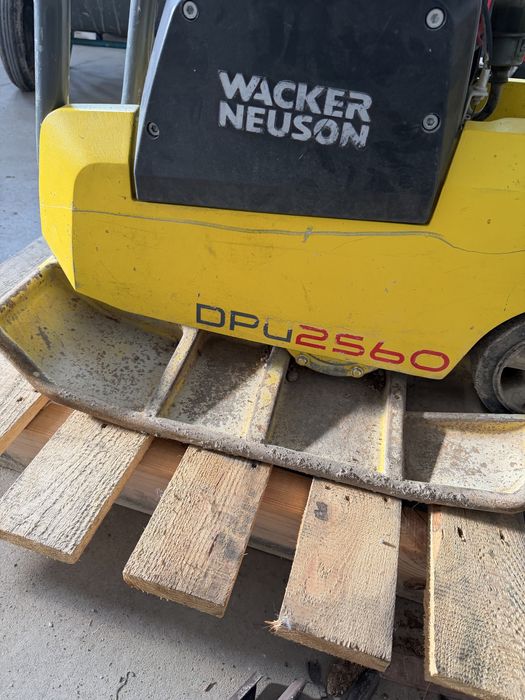 Zagęszczarka rewersyjna 171kg WACKER NEUSON DPU 2560