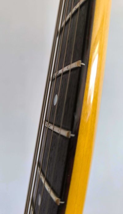 Custom Stratocaster Hardtail Reverse Dakota.