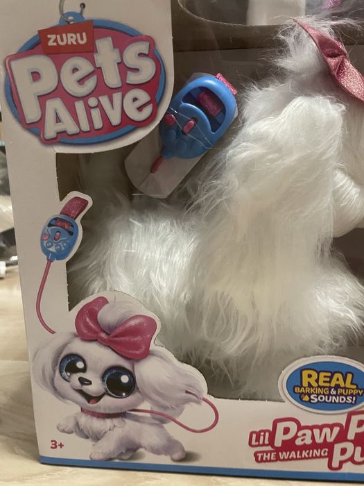 PetsAlive Zuru Szczeniak chodzący