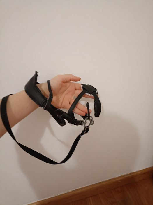 Ogłowie hobby horse