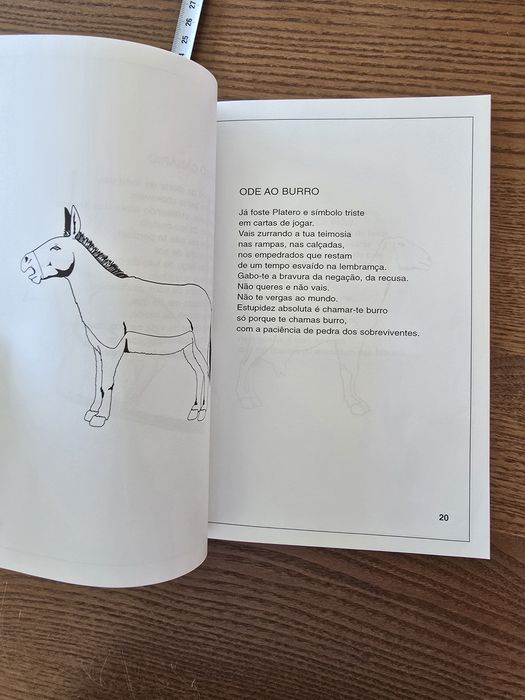 Livro "Animália - Odes aos Bichos" Autografado